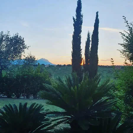 Leone Villa Pianella (Pescara)
