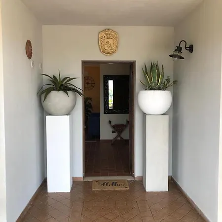Leone Pianella (Pescara)