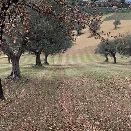 Leone Villa *