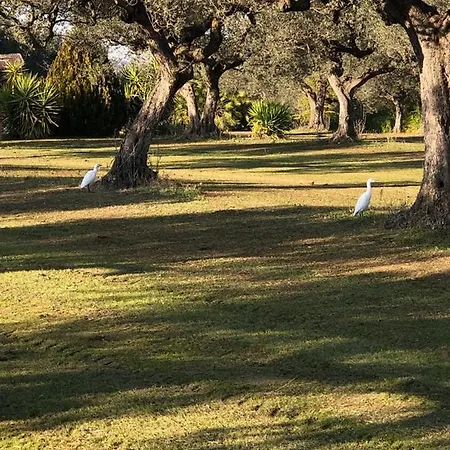Leone Villa