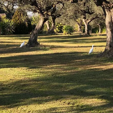 Leone Villa